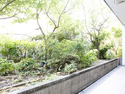緑豊かな中庭