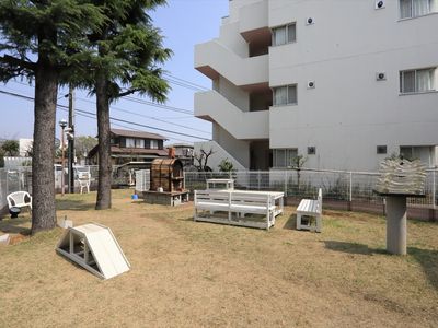 明るい日差しの中庭 