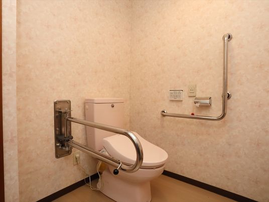 施設の写真 壁にL字型の手すりを設置しており、トイレに座りやすくなっている。壁にはお尻洗浄のスイッチが用意されている。