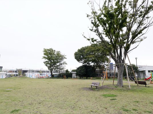緑豊かな中庭風景