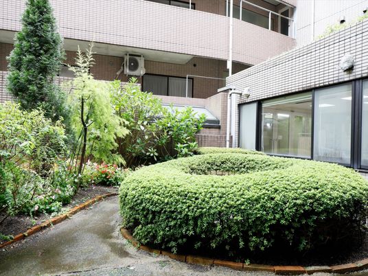 緑豊かな中庭風景