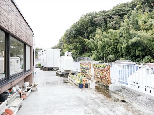 緑豊かな中庭の風景