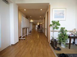 明るい廊下と植物