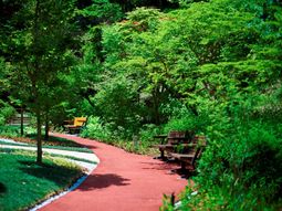 緑豊かな中庭の様子