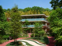 緑豊かな中庭の景色