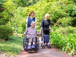 緑豊かな庭の散歩風景