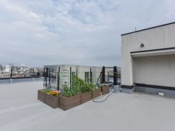 屋上の緑と空のビュー