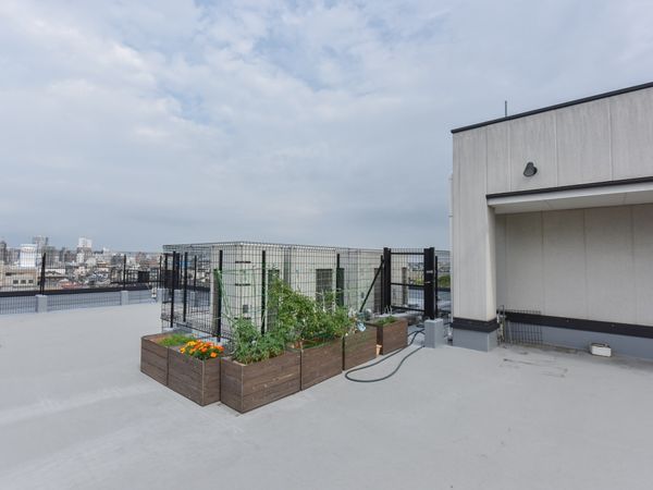 屋上の緑と空のビュー