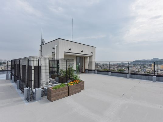 緑のある屋上空間