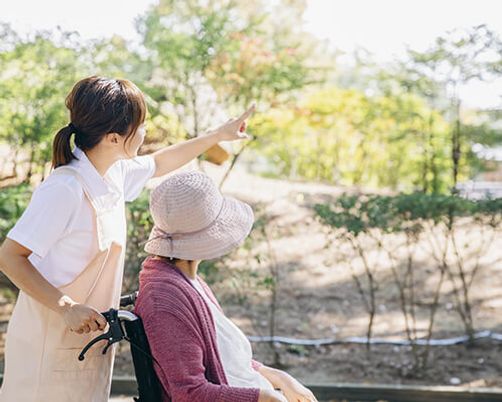穏やかな庭