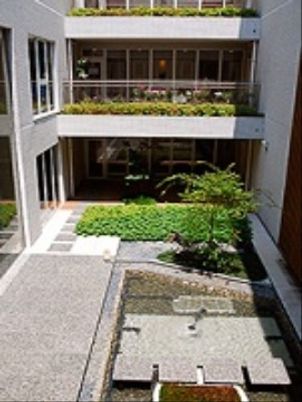 緑豊かな中庭の風景