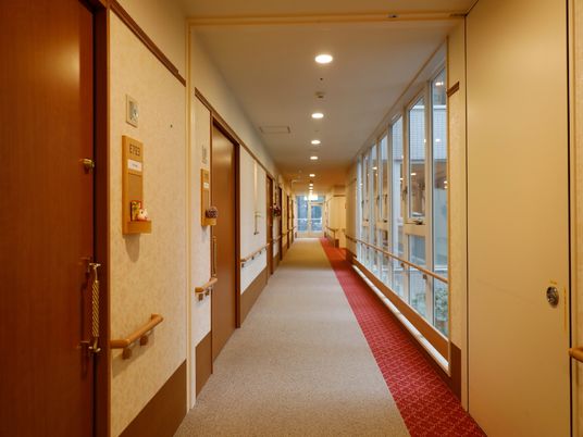 ベージュの模様入りの壁と茶色に赤色の模様入部分が施された床。横側はガラス張りになり手すりが設置されている個室の通路。