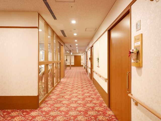 明るく広々とした廊下 通路 温もりある木目と赤いカーペットが特徴の通路です。壁にはおしゃれな飾りがあります。