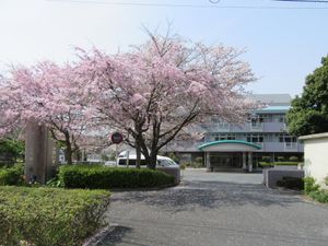 桜咲く施設外観  