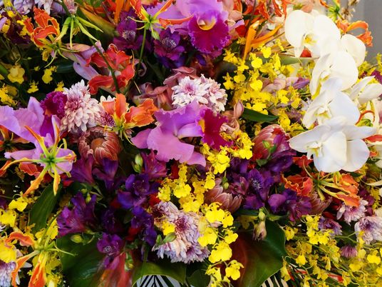  色とりどりの花々  
