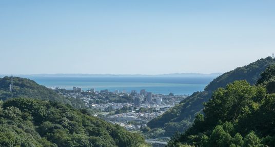 緑豊かな丘の景観