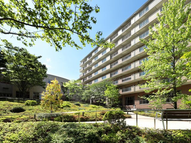 緑豊かな庭 庭 豊かな緑に囲まれた庭は、リラックスできる空間です。仕事の合間のリフレッシュにも最適です。