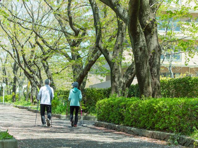 並木道を歩く人々 庭 緑豊かな並木道では、ゆったりとした散歩が楽しめます。スタッフと利用者が穏やかな時間を過ごしています。