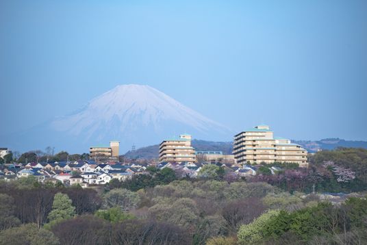 緑に囲まれた外観
