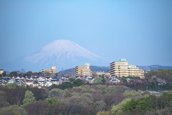 緑に囲まれた外観