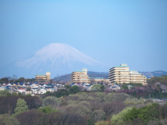 緑に囲まれた外観 外観 緑豊かな環境の中で働くことができる施設です。美しい風景に癒されながら過ごせます。