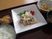 和風の食事セット