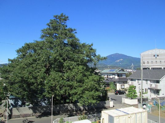 青空と緑の中庭