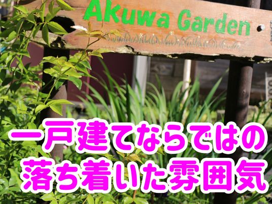 落ち着いた雰囲気の庭