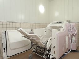 先進的な設備の浴室