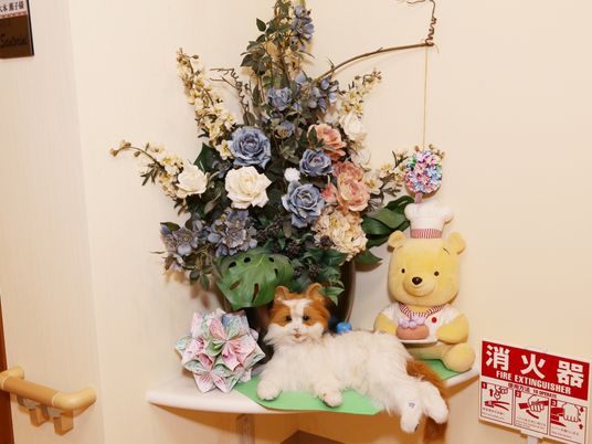 温かみのある装飾の壁面