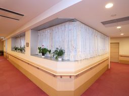 廊下に飾られた植物