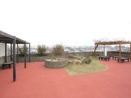 広々とした屋上空間