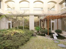 和風の庭園ビュー