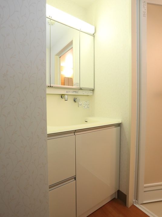 清潔な洗面スペース