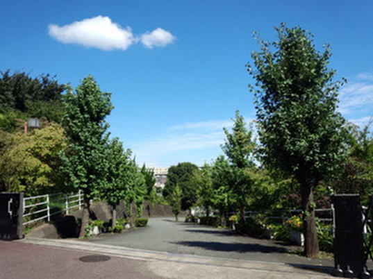 青空の下の入口
