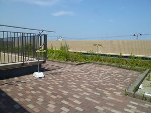 開放的な屋上庭園