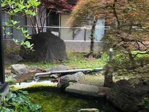 中庭の池と庭木  