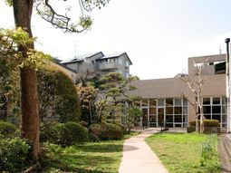 緑豊かな中庭の風景