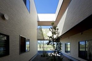 中庭の風景