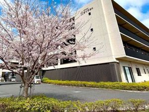 桜と建物の外観  