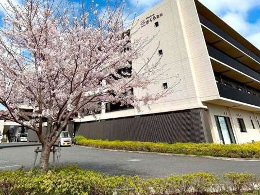 桜と建物の外観  