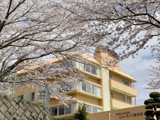 桜と建物の外観  