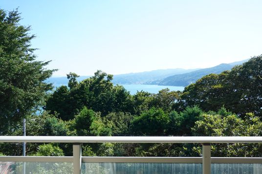 緑豊かな中庭の景色