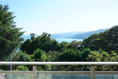 緑豊かな中庭の景色