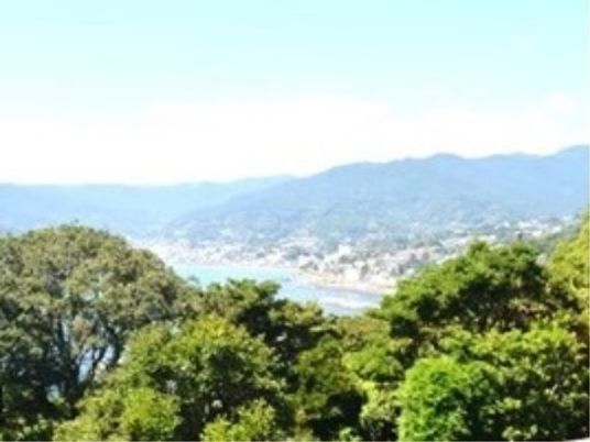 緑豊かな景色眺望