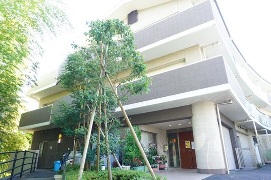 緑豊かな建物の入口