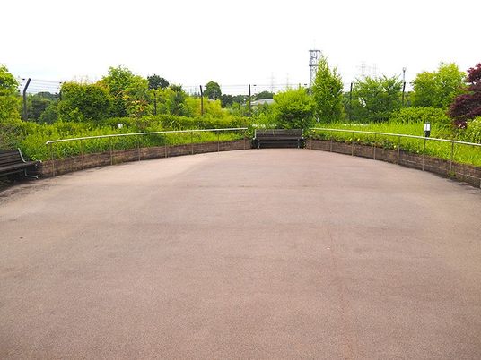 緑に囲まれた庭  