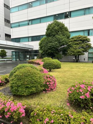 緑と花が彩る庭