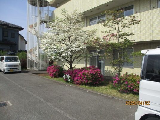 建物外観と植栽のある外観  
