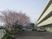 建物と駐車場の外観  
